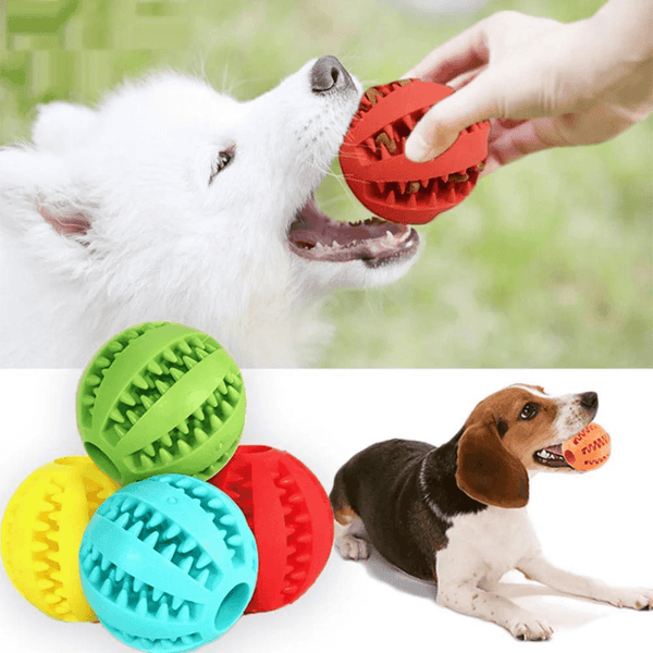 Lisayo Cleny - Effektive Zahnpflege und Spaß für Deinen Hund